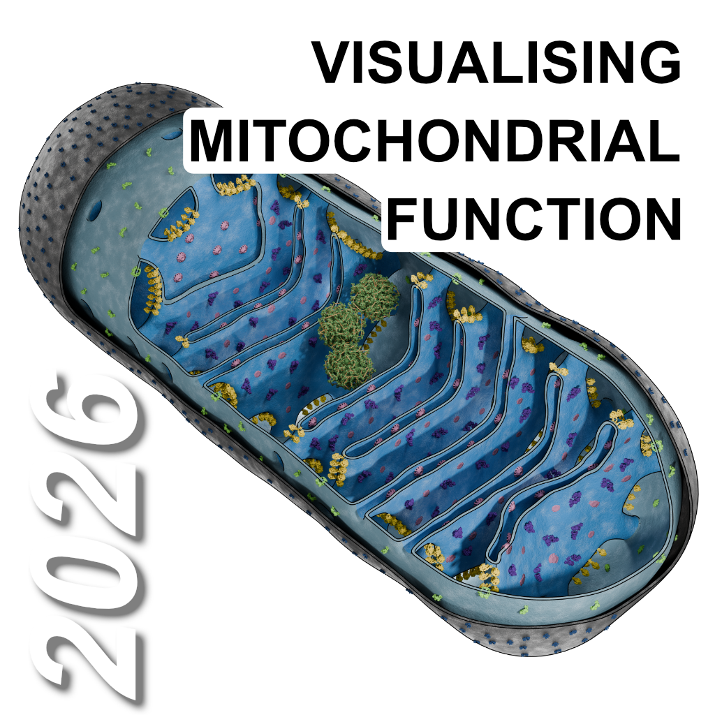 logo of the symposium